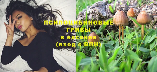 a pvp Мегион