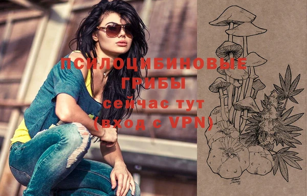 apvp Орехово-Зуево