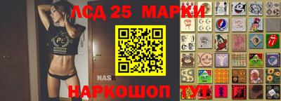 гашик Волгодонск