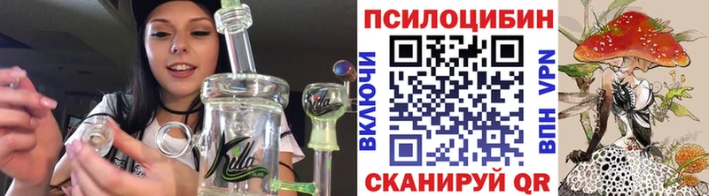 Псилоцибиновые грибы Psilocybine cubensis  дарнет шоп  Железноводск 