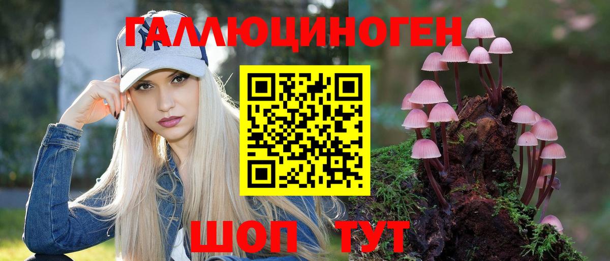 Железноводск  Псилоцибиновые грибы мухоморы  Вход с VPN  Галлюциногенные грибы GOLDEN TEACHER 